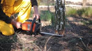 Best Lawn Irrigation Installation and Maintenance  in Medford, MA